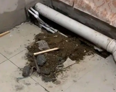 铁山卫生间漏水检测哪家好