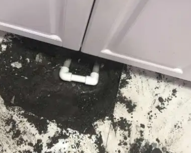 铁山查漏水哪家好